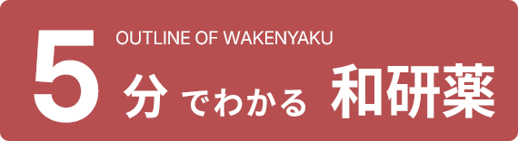 ５分でわかる和研薬