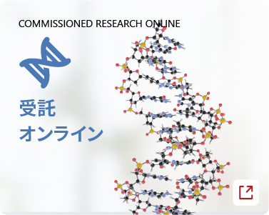 COMMISSIONED RESEARCH ONLINE/受託オンライン
