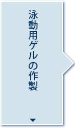 泳動用ゲルの作製