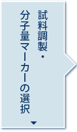 試料調製・分子量マーカーの選択