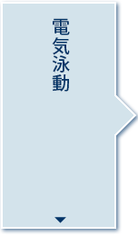 電気泳動