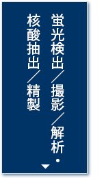蛍光検出／撮影／解析・核酸抽出／精製