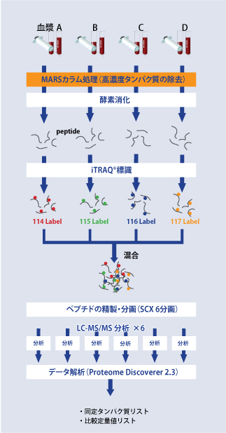 ヒト血清 血漿の相対定量プロテオーム解析 和研薬株式会社 受託オンライン Wakenyaku Co Ltd Commissioned Research Online