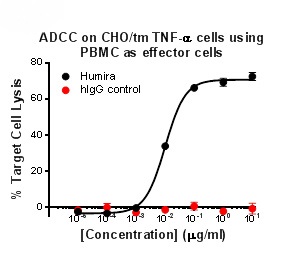 Adcc Cdcアッセイ 和研薬株式会社 受託オンライン Wakenyaku Co Ltd Commissioned Research Online